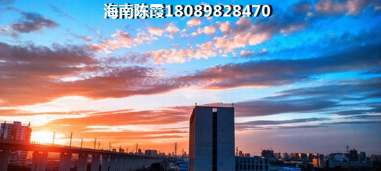 海口的房價2024年是漲還是跌